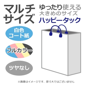 国内産オリジナル紙袋 マルチサイズ / フルカラー4色刷 ハッピータック コート紙艶なし仕上げ 